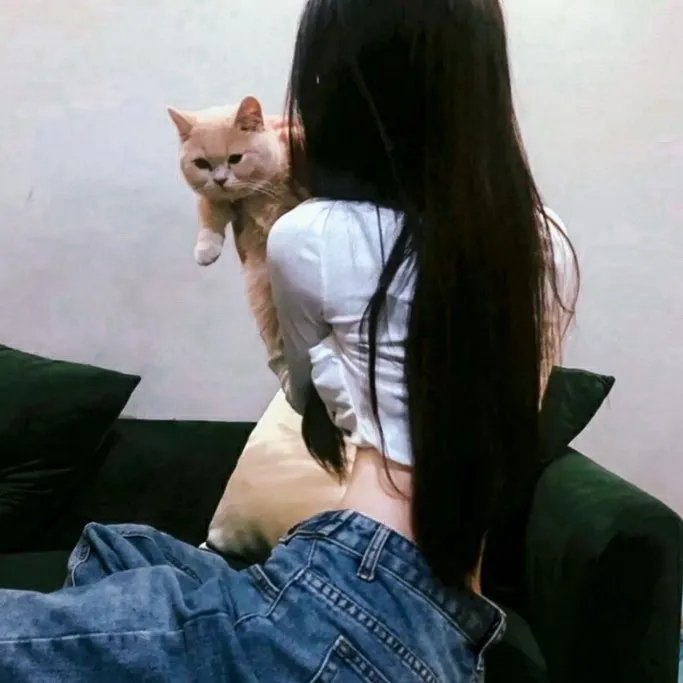 史宾赛的机密任务